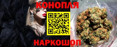 СК Пугачёв