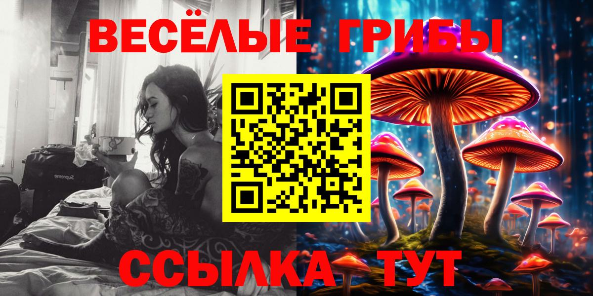 Псилоцибиновые грибы Psilocybe  Вход с VPN  Нягань 